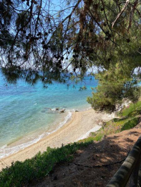 Elia Sithonia Apartment
